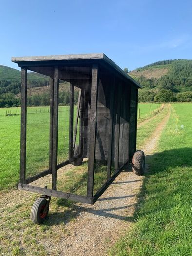 Handmade wooden dog/hen run