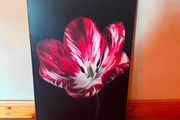 Large Red Tulip Floral Canvas