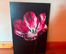 Large Red Tulip Floral Canvas