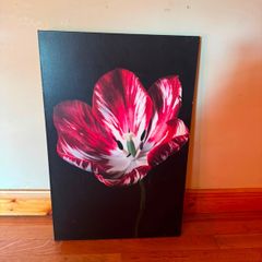 Large Red Tulip Floral Canvas