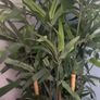 Tall artificial plant from Ikea Image 5