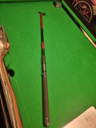 fishing rods and reels