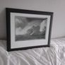 picture Image 2