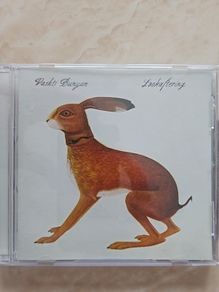 Vashti Bunyan CD - Lookaftering