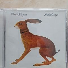 Vashti Bunyan CD - Lookaftering