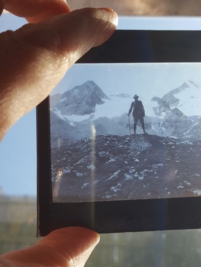 photographic plates from 1930s