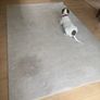 Ikea Rug Image 3