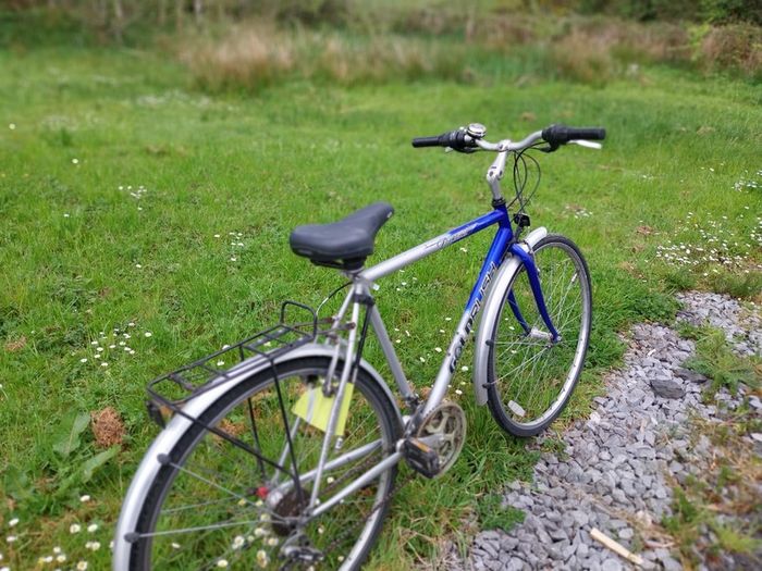 Gold Rush Road Bike