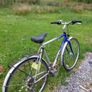 Gold Rush Road Bike Image 3