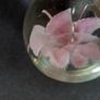 Glass paperweight with pink flower design Image 6