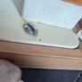 Sewing machine Image 10