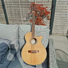Semi Acoustic Guitar