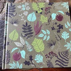 Our Future Will Become the Past of other Women Very rare artist poetry book Eavan Boland Paula McGloin poem and art