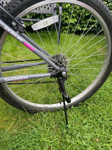 Serene mountain bike