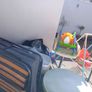 free Image 3