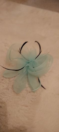 Ladies fascinator