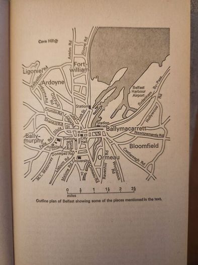 Political Murder In Northern Ireland By Martin Dillon And Denis Lehane. First Edition Paperback In Good Condition.