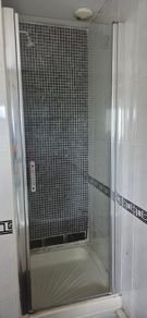 Shower door
