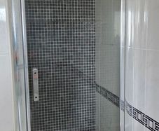 Shower door