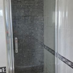 Shower door