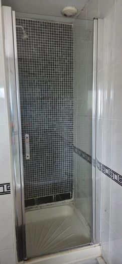 Shower door