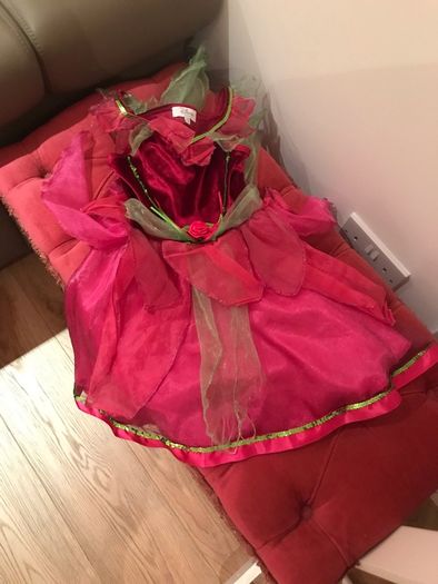 Disney dress