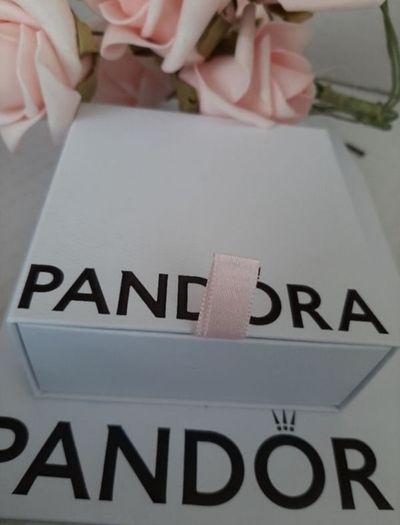 new genuine pandora moments bangles