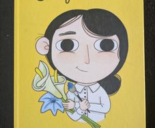 Little People Big Dreams Books Collection