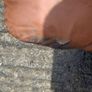 couch Image 3