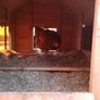 9-12 Bird Large Chicken Coop - Free delivery Image 6