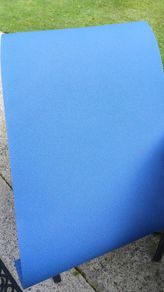 exercise /yoga mat