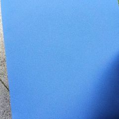 exercise /yoga mat