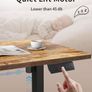 120 x 60cm Sit Stand Electric Home Office Desk with Memory Smart Pannel Image 5