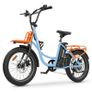Hidoes C6 Step-thru Electric Bike Image 2