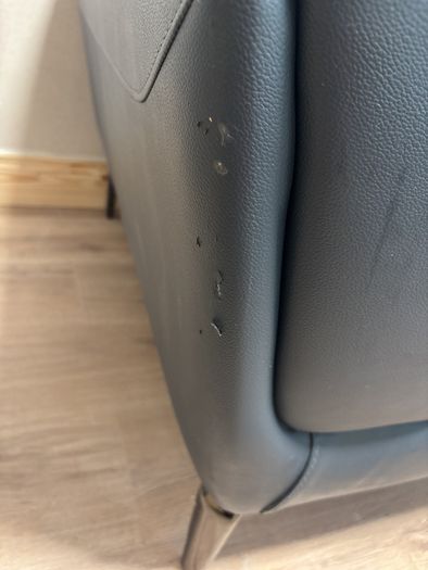 Leather Couch