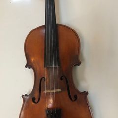 Lady violin