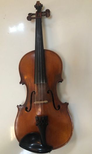 Lady violin