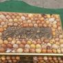 Vintage Jewellry Box Image 4