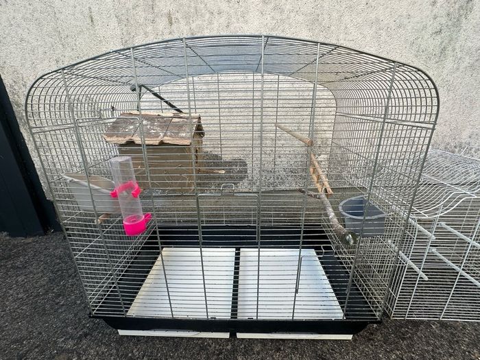 Bird Cages