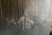 PAINTING Untitled (Forest Scene with Deer and Central Insectoid Motif)