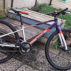 wiggins bike