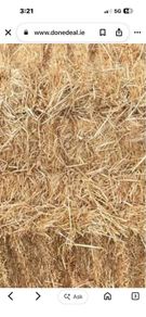 Small square bales straw