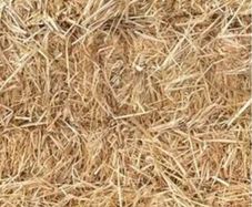 Small square bales straw