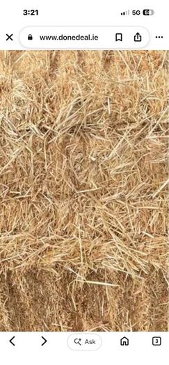 Small square bales straw