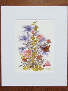 Print of a botanical watercolour painting of West Cork beach flowers