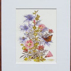 Print of a botanical watercolour painting of West Cork beach flowers