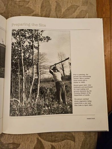 Forest Images. Fr Browne's Woodland Photographs From Emo Court Co Laois. Fabolous FIRST EDITION Large Volume Hardback In Good Condition.  See Photos For Same.