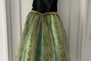 Disney Princess Anna Costume Dress