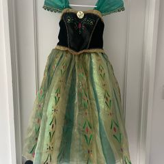 Disney Princess Anna Costume Dress