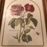 Vintage Rose Botanical Print Framed - Nederlandsch Bloemwerk Cottagecore Wall Art  11.6 inches x 14.8 inches Image 2